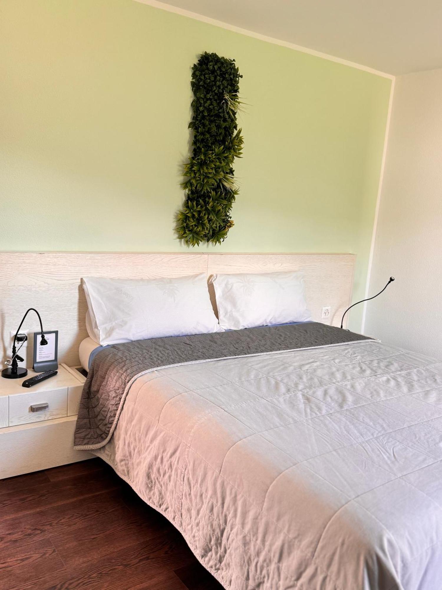 Bed and Breakfast Viva Bacco Gambarogno Zewnętrze zdjęcie