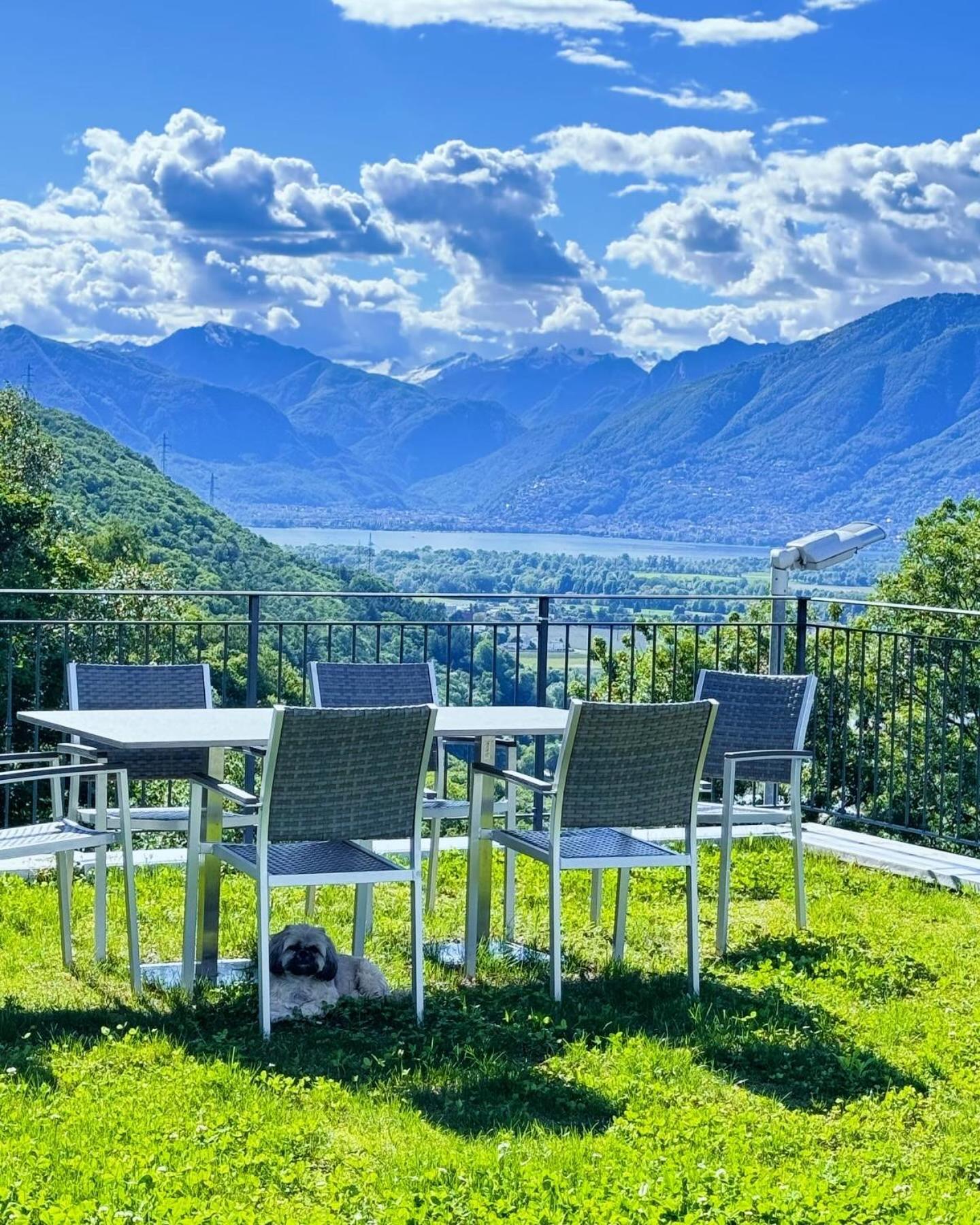 Bed and Breakfast Viva Bacco Gambarogno Zewnętrze zdjęcie