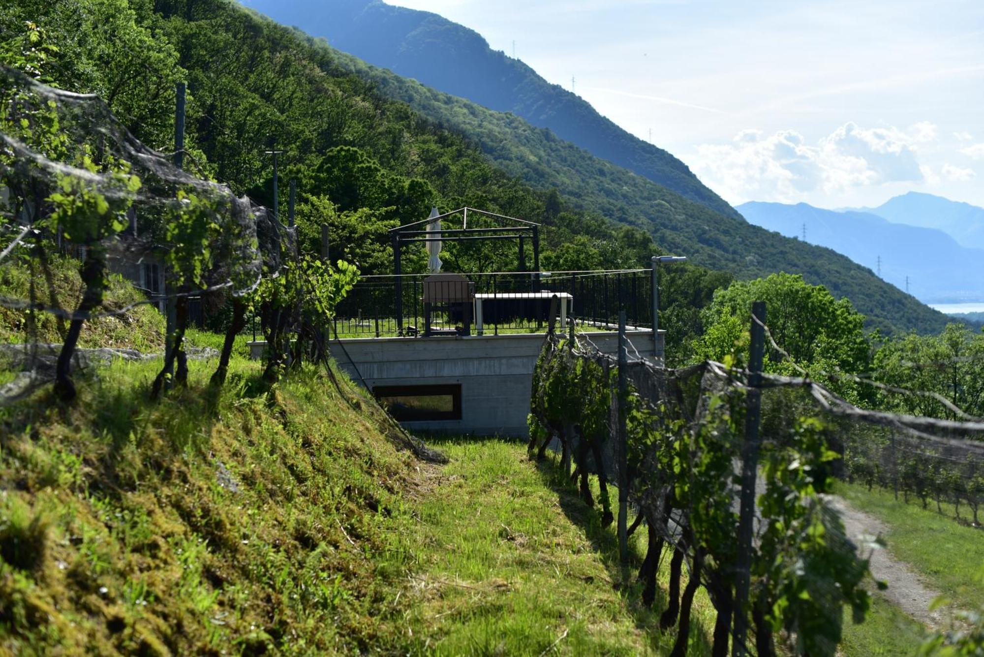 Bed and Breakfast Viva Bacco Gambarogno Zewnętrze zdjęcie