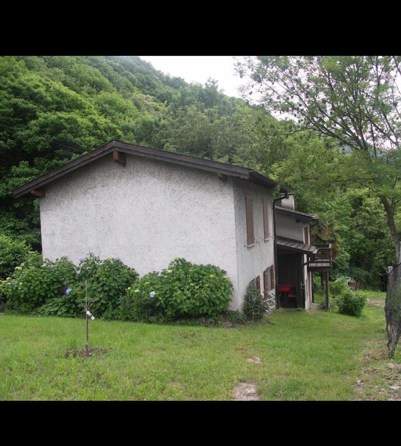 Bed and Breakfast Viva Bacco Gambarogno Zewnętrze zdjęcie
